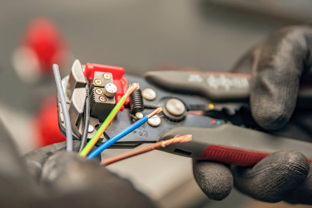Best Affordable Electrician  in Rio Rico, AZ