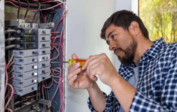 Best Electric Panel Repair  in Rio Rico, AZ